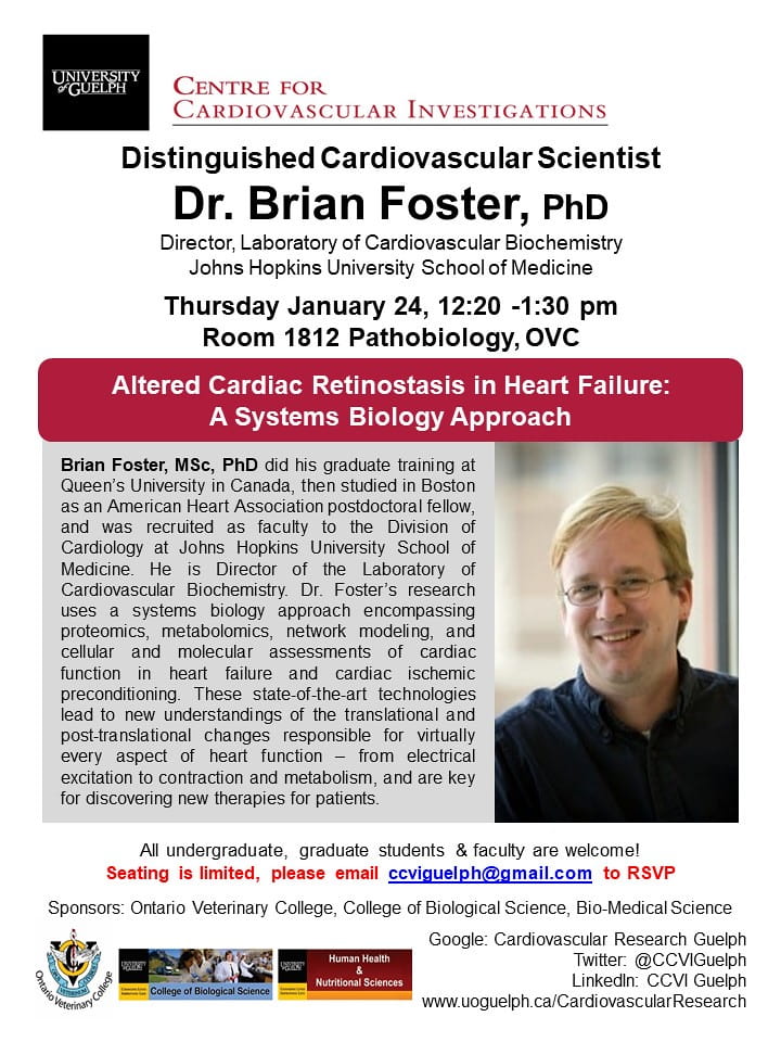 An infographic saying "Centre for Cardiovascular Investigations. Distinguished Cardiovascular Scientist. Dr. Brian Foster, PHD. Director, Labratory of Cardiovascular Biochemistry. John Hopkins University School of Medicine. Thursday January 24, 12:20 - 1:30 pm Room 1812 Pathobiology, OVC. Altered Cardiac Retinostasis in Heart Failure: A Systems Biology Approach. Brian Foster, MSc, PHD did his graduate training at Queen's University in Canada, then studied in Boston as an American Heart Association postdoctoral fellow, and was recruited as faculty to the Division of Cardiology at John Hopkins University School of Medicine. He is Director of the Laboratory of Cardiovascular Biochemistry. Dr. Foster's research uses a systems biology approach encompassing proteomics, metabolomics, network modeling, and cellular and molecular assessments of cardiac function in heart failure and cardiac ischemic preconditioning. These state-of-the-art technologies lead to new understandings of the translational and post-translational changes responsible for virtually every aspect of heart function - from electrical excitation to contraction and metabolism, and are the key for discovering new therapies for patients. All undergraduate, graduate students & faculty are welcome! Seating is limited, please email ccviguelph@gmail.com to RSVP. Sponsors: Ontario Veterinary College, College of Biological Science, Bio-Medical Science. Google: Cardiovascular Research Guelph. Twitter: @CCVIGuelph. LinkedIn: CCVI Guelph. www.uoguelph.ca/CardiovascularResearch." along with the University of Guelph logo, a photo of Dr. Brian Foster, and the OVC logo. There is also the U of G College of Biological Science logo, and the Human Health & Nutritional Sciences logo. 