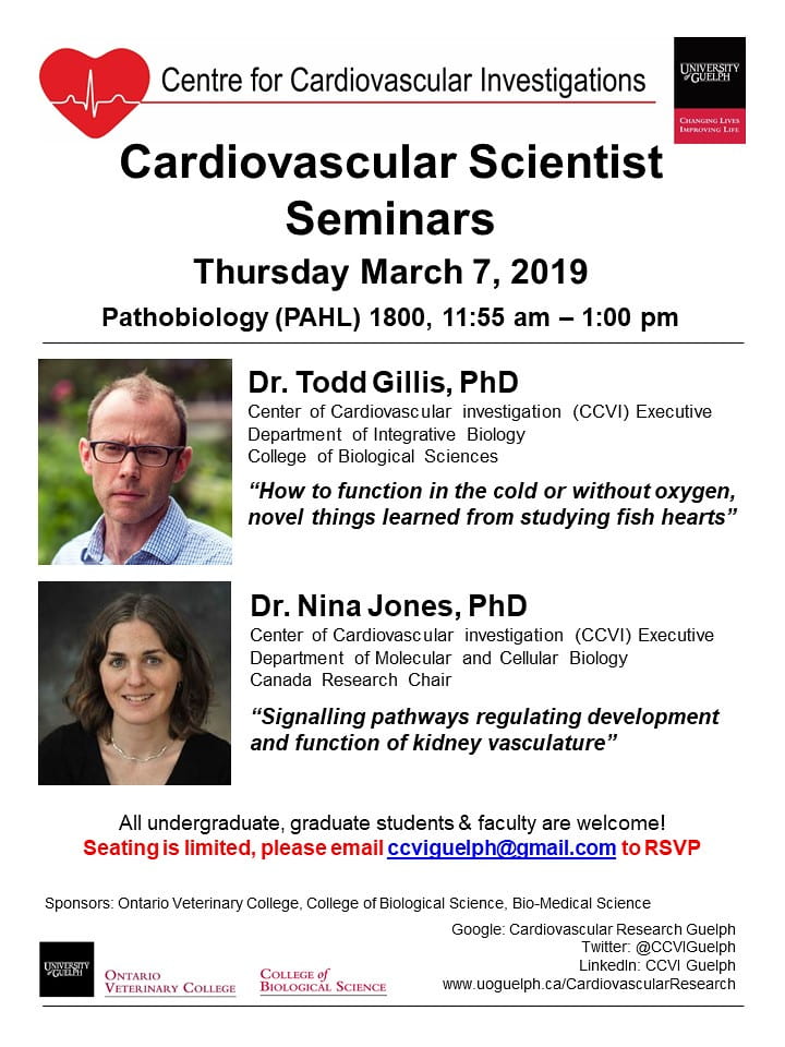 An infographic saying "Centre for Cardiovascular Investigations. Cardiovascular Scientist Seminars. Thursday March 7, 2019. Pathobiology (PAHL) 1800, 11:55 am - 1:00 pm. Dr. Todd Gillis, PHD. Center of Cardiovascular investigation (CCVI) Executive Department of Integrative Biology, College of Biological Sciences. "How to function in the cold or without oxygen, novel things learned from studying fish hearts". Dr. Nina Jones, PHD. Center of Cardiovascular investigation (CCVI) Executive Department of Molecular and Cellular Biology. Canada Research Chair. "Signaling pathways regulating development and function of kidney vasculature". All undergraduate, graduate students & faculty are welcome! Seating is limited, please email ccviguelph@gmail.com to RSVP. Sponsors: Ontario Veterinary College, College of Biological Science, Bio-Medical Science. Google: Cardiovascular Research Guelph. Twitter: @CCVIGuelph. LinkedIn: CCVI Guelph. www.uoguelph.ca/CardiovasularResearch" along with the U of G logo and the slogan "Changing Lives Improving Lifes". There is also a photo of Dr. Todd Gillis, as well as Dr. Nina Jones. There is also the Ontario Veterinary College logo, and the College of Biological Science logo. 