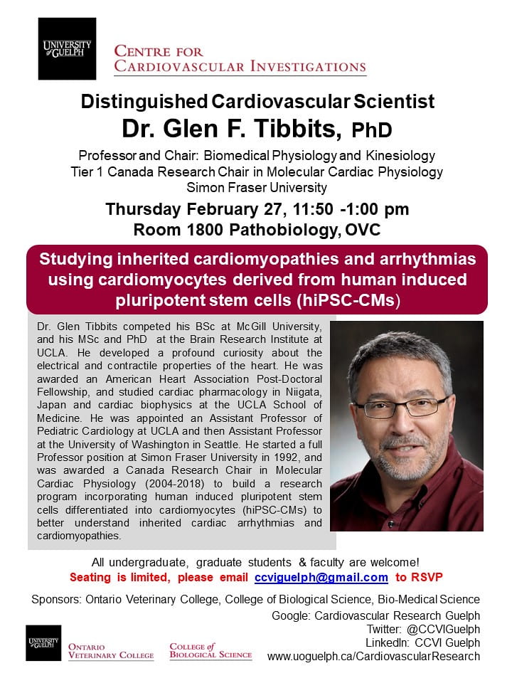 An infographic, saying "University of Guelph Centre for Cardiovascular Investigations. Distinguished Cardiovascular Scientist Dr. Glen F. Tibbits, PHD. Professor and Chair. Biomedical Physiology and Kinesiology. Tier 1 Canada Research Chair in Molecular Cardiac Physiology. Simon Fraser University. Thursday February 27, 11:50-1:00pm. Room 1800 Pathobiology, OVC. Studying inherited cardiomyopathies and arrhythmias using cardiomyocytes derived from human induced pluripotent stem cells (hiPSC-CMs). Dr. Glen Tibbits completed his BSc at McGill University, and his MSc and PHD at the Brain Research Institute at UCLA. He developed a profound curiosity about the electrical and contractile properties of the heart. He was awarded an American Heart Association Post-Doctoral Fellowship and studied cardiac pharmacology in Niigata, Japan and cardiac biophysics at the UCLA School of Medicine. He was appointed an Assistant Professor of Pediatric Cardiology at UCLA and then Assistant Professor at the University of Washington in Seattle. He started a full Professor position at Simon Fraser University in 1992, and was awarded a Canada Research Chair in Molecular Cardiac Physiology (2004-2018) to build a research program incorporating human induced pluripotent stem cells differentiated into cardiomyocytes (hiPSC-CMs) to better understand inherited cardiac arrhythmias and cardiomyopathies. All undergraduate, graduate students & faculty are welcome! Seating is limited, please email ccviguelph@uoguelph.ca to RSVP. Sponsors: Ontario Veterinary College, College of Biological Science, Bio-Medical Science. Google: Cardiovascular Research Guelph. Twitter: @CCVIGuelph. LinkedIn: CCVI Guelph. www.uoguelph.ca/CardiovascularResearch". There is also the U of G logo, as well as a photo of Dr. Glen F. Tibbits.